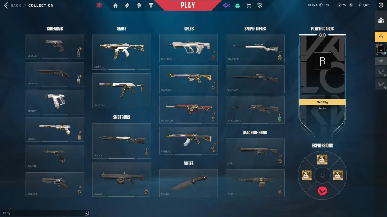 Valorant Account NA Inventory: 60 Skins